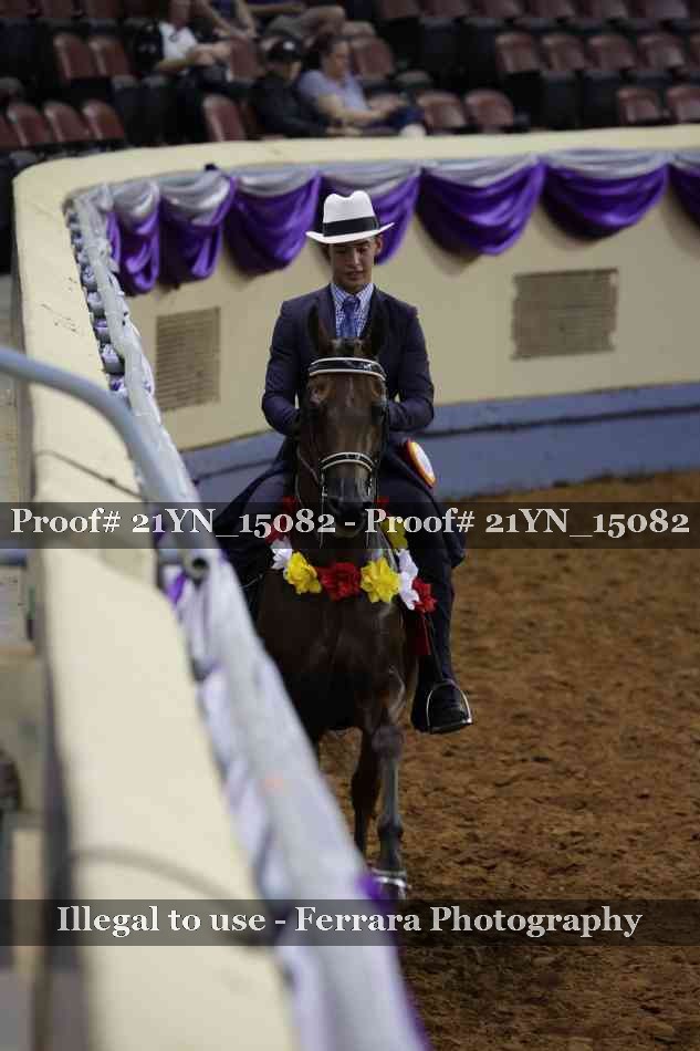 Proof Number 21YN_15082