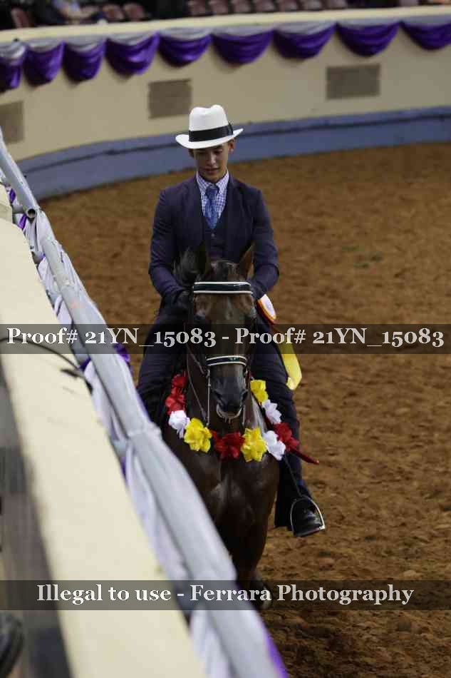 Proof Number 21YN_15083