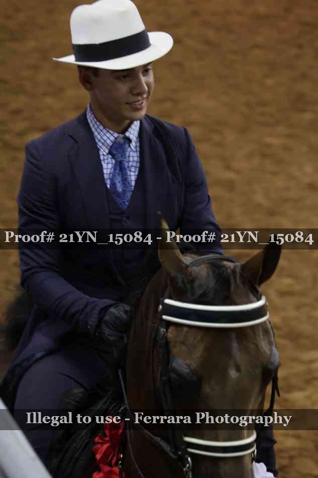 Proof Number 21YN_15084