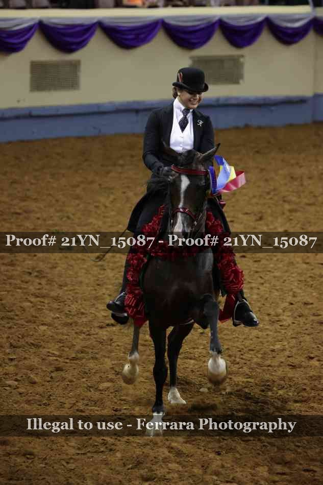 Proof Number 21YN_15087