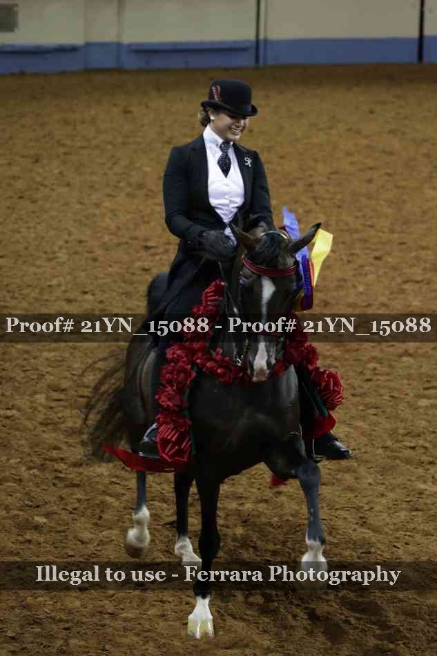 Proof Number 21YN_15088