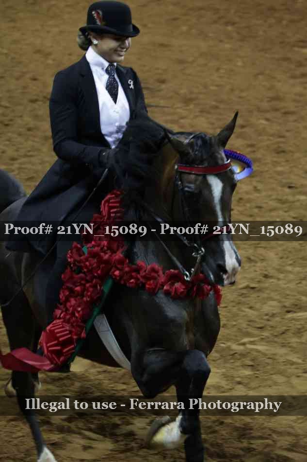 Proof Number 21YN_15089