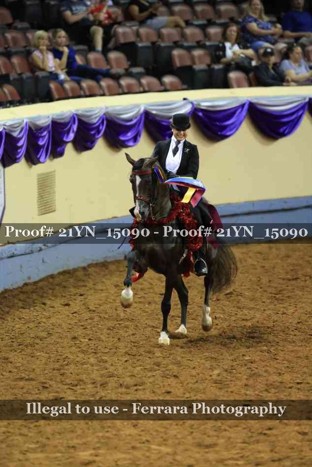 Proof Number 21YN_15090