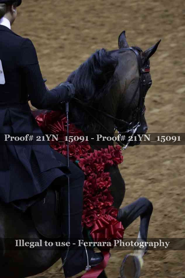 Proof Number 21YN_15091