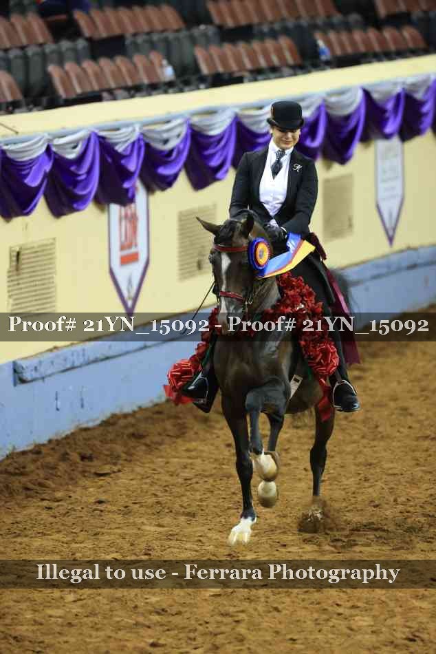 Proof Number 21YN_15092