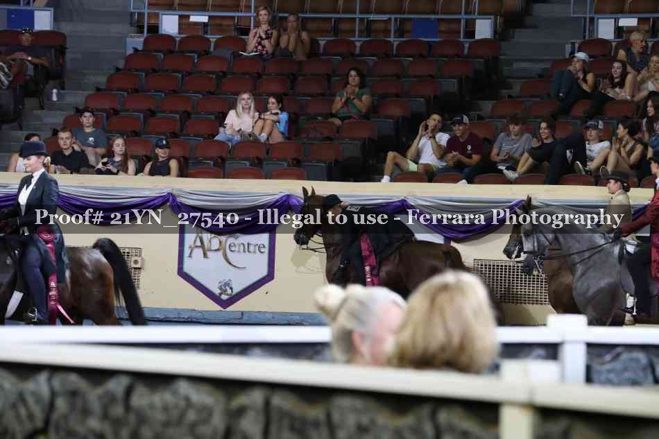 Proof Number 21YN_27540