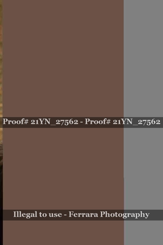 Proof Number 21YN_27562