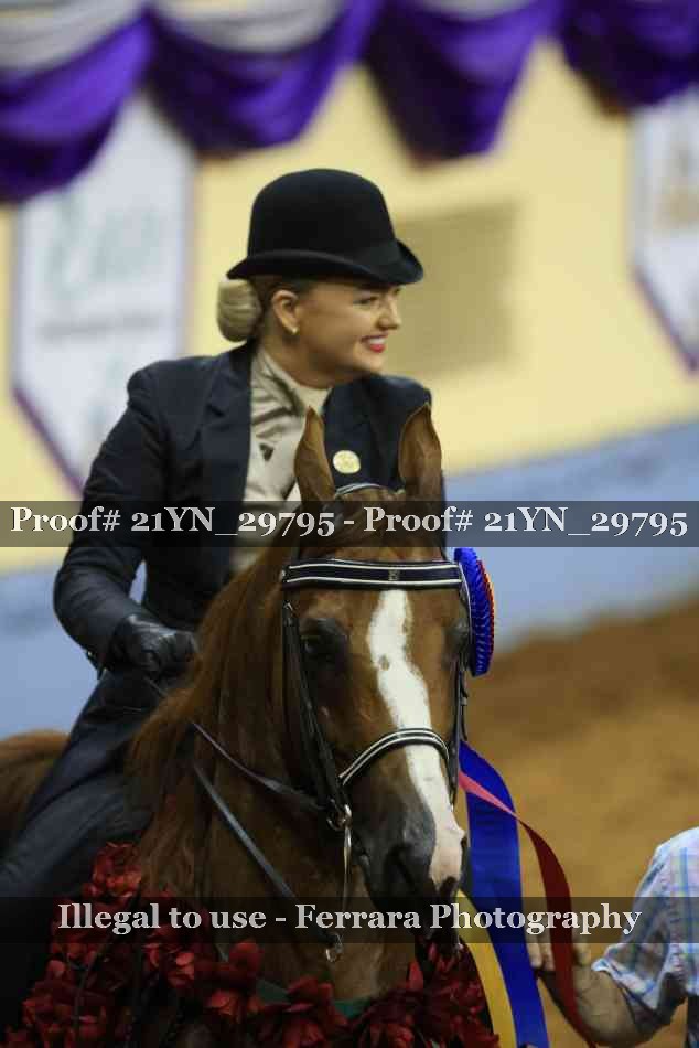 Proof Number 21YN_29795