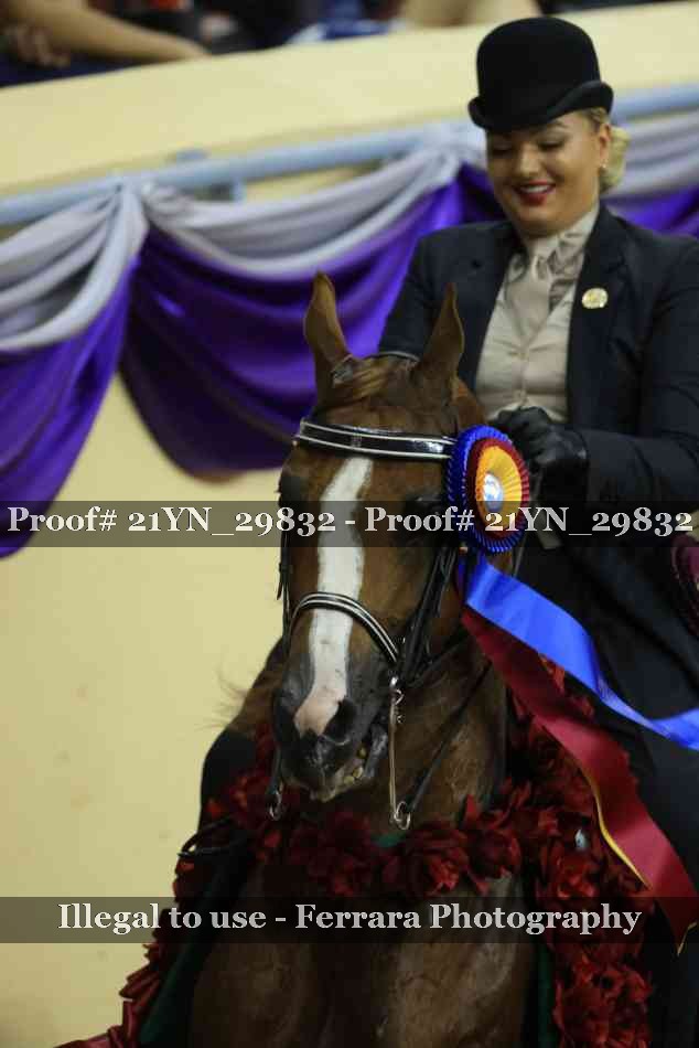 Proof Number 21YN_29832