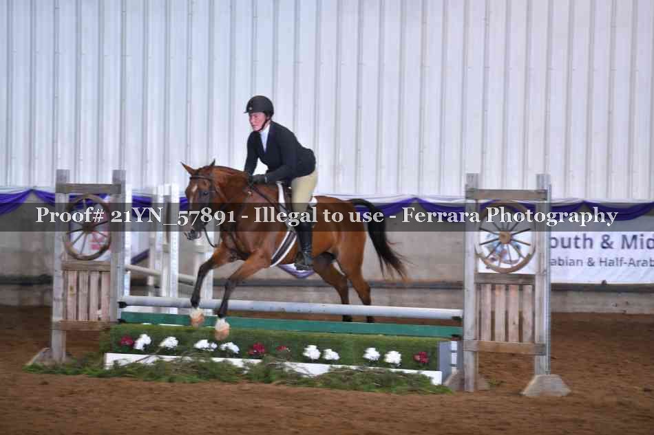 Proof Number 21YN_57891