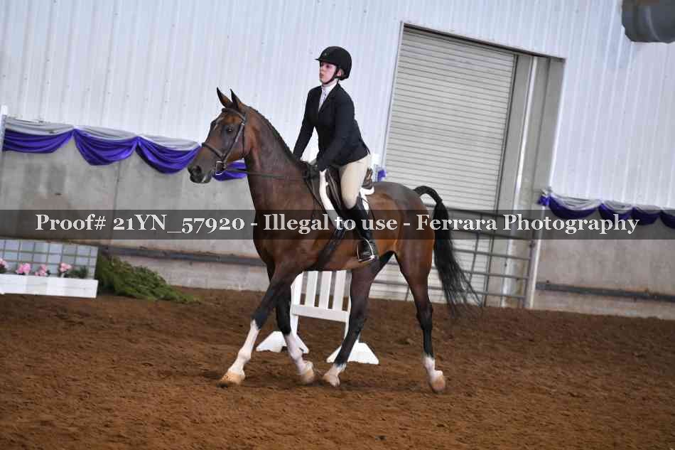Proof Number 21YN_57920