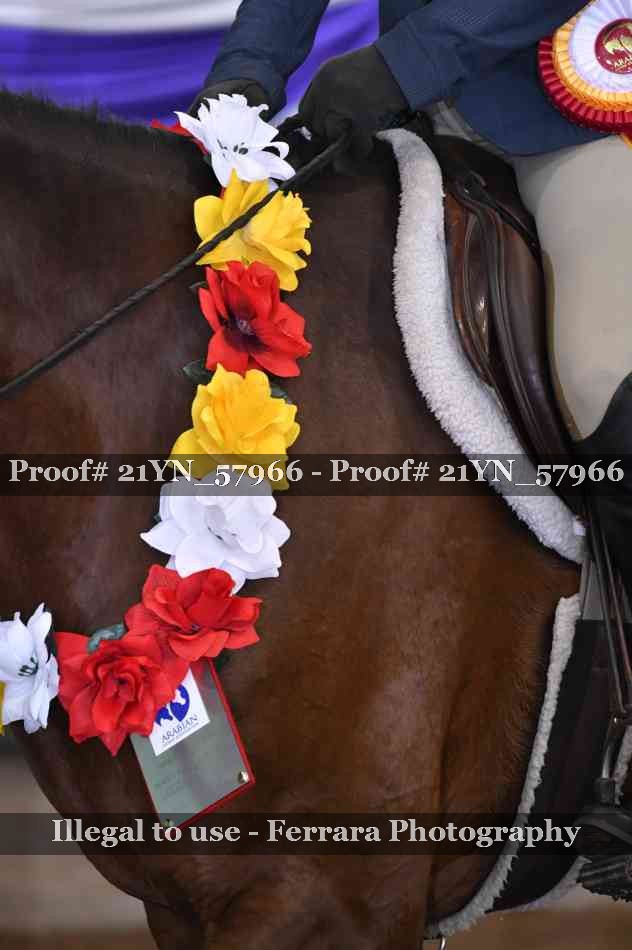Proof Number 21YN_57966