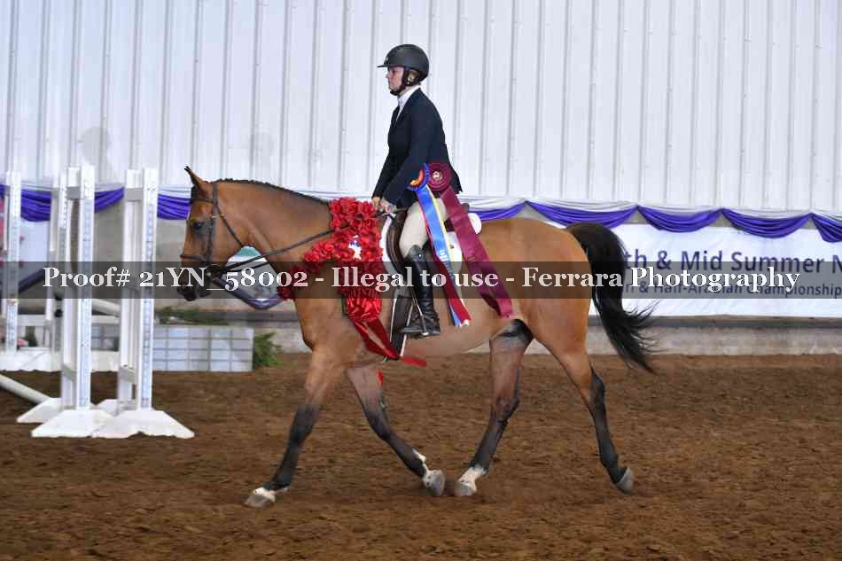 Proof Number 21YN_58002