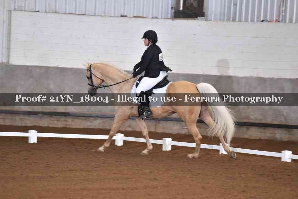 Proof Number 21YN_18004