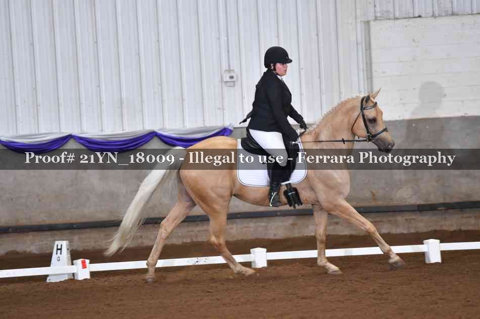 Proof Number 21YN_18009
