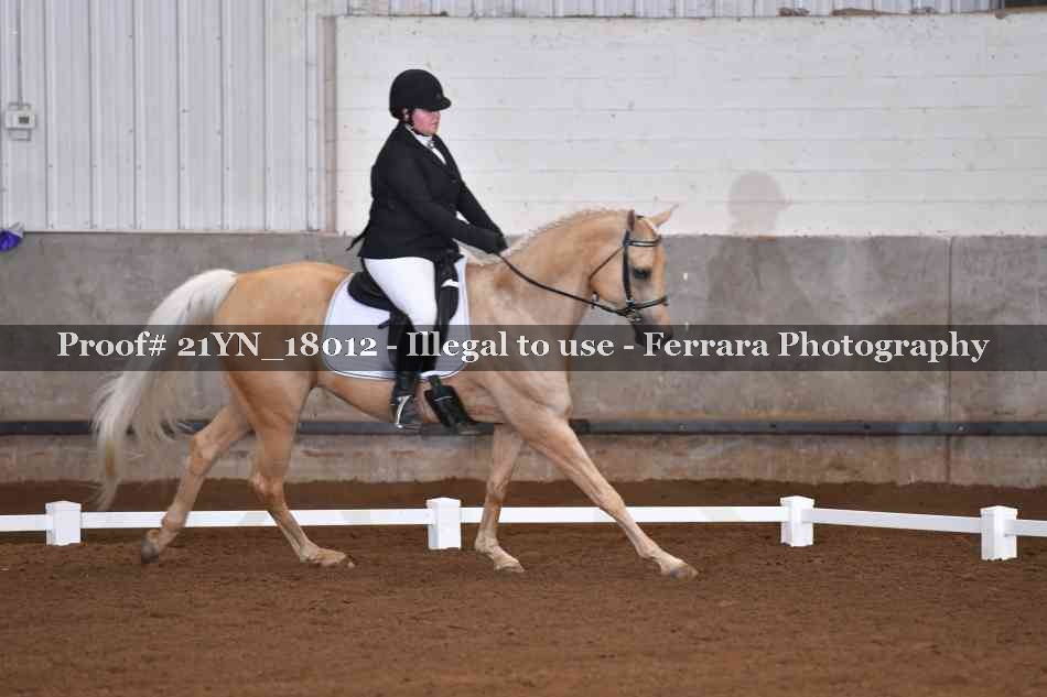 Proof Number 21YN_18012