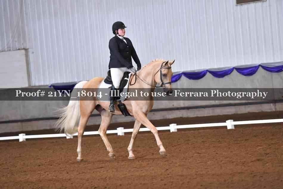 Proof Number 21YN_18014