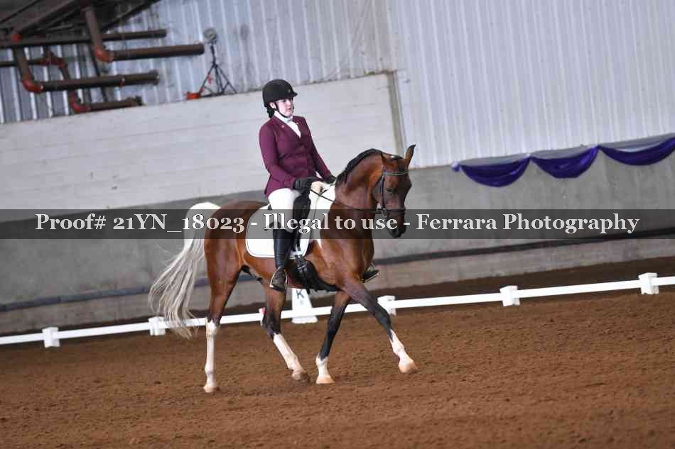 Proof Number 21YN_18023