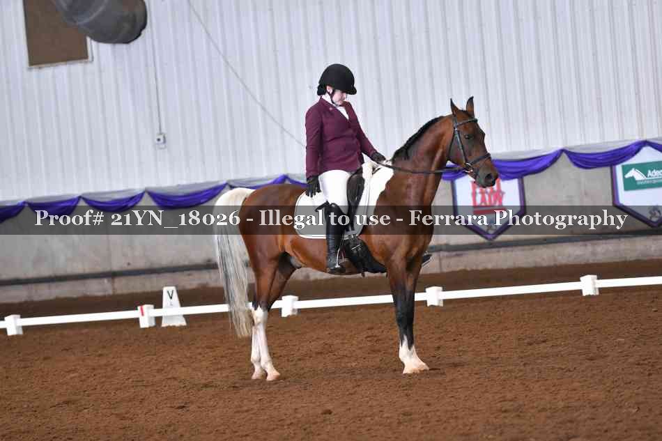 Proof Number 21YN_18026