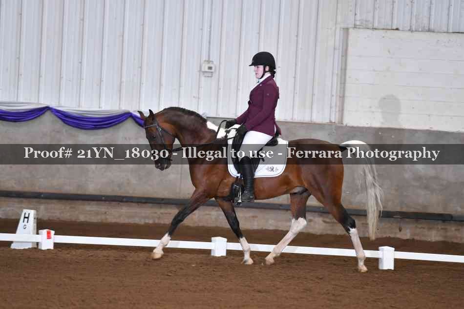 Proof Number 21YN_18030