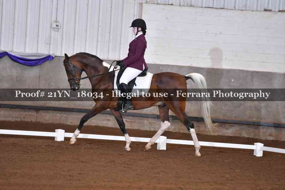Proof Number 21YN_18034