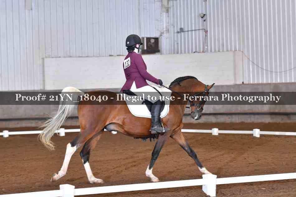 Proof Number 21YN_18040