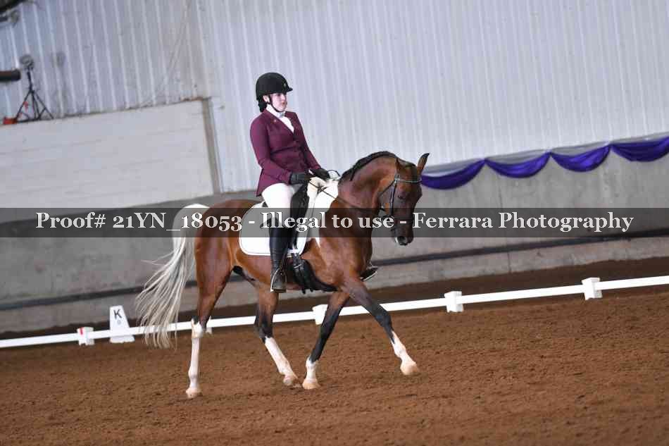 Proof Number 21YN_18053