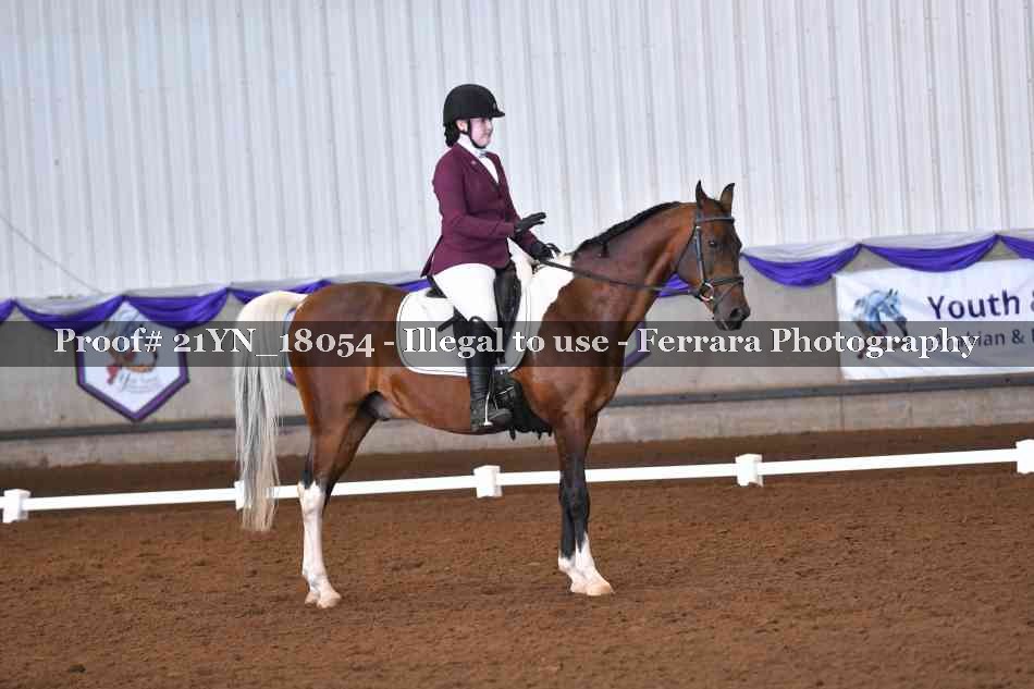 Proof Number 21YN_18054