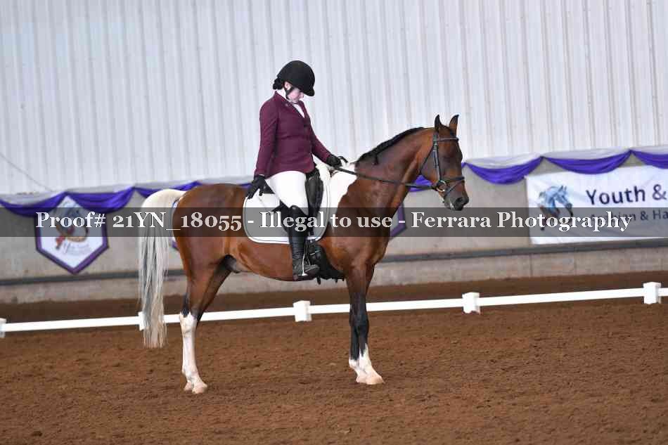 Proof Number 21YN_18055