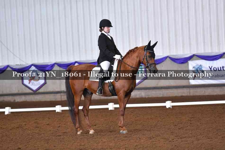 Proof Number 21YN_18061