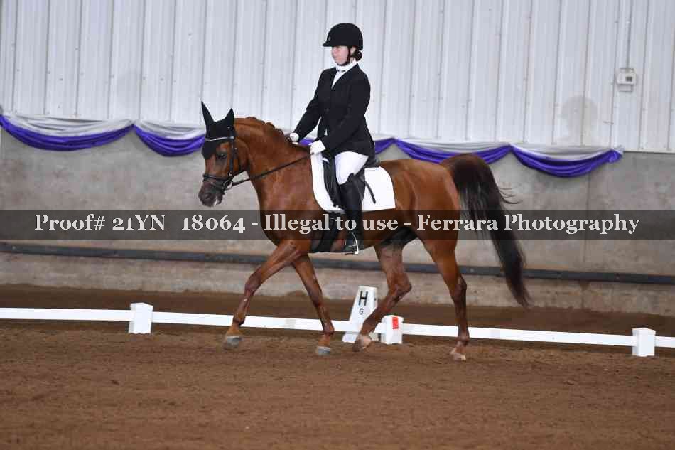 Proof Number 21YN_18064