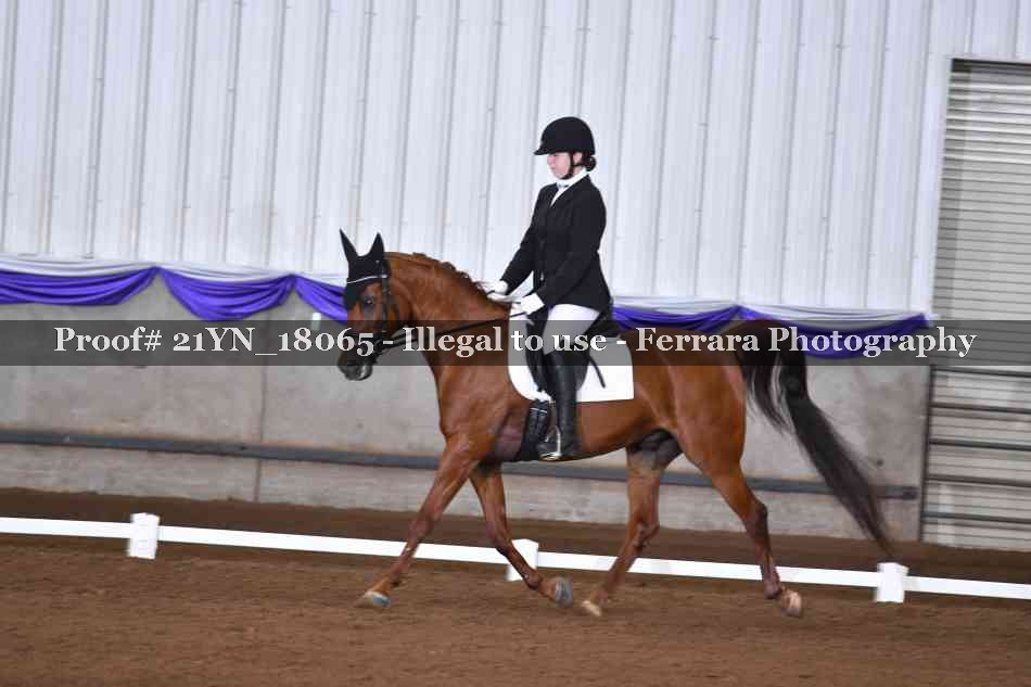 Proof Number 21YN_18065