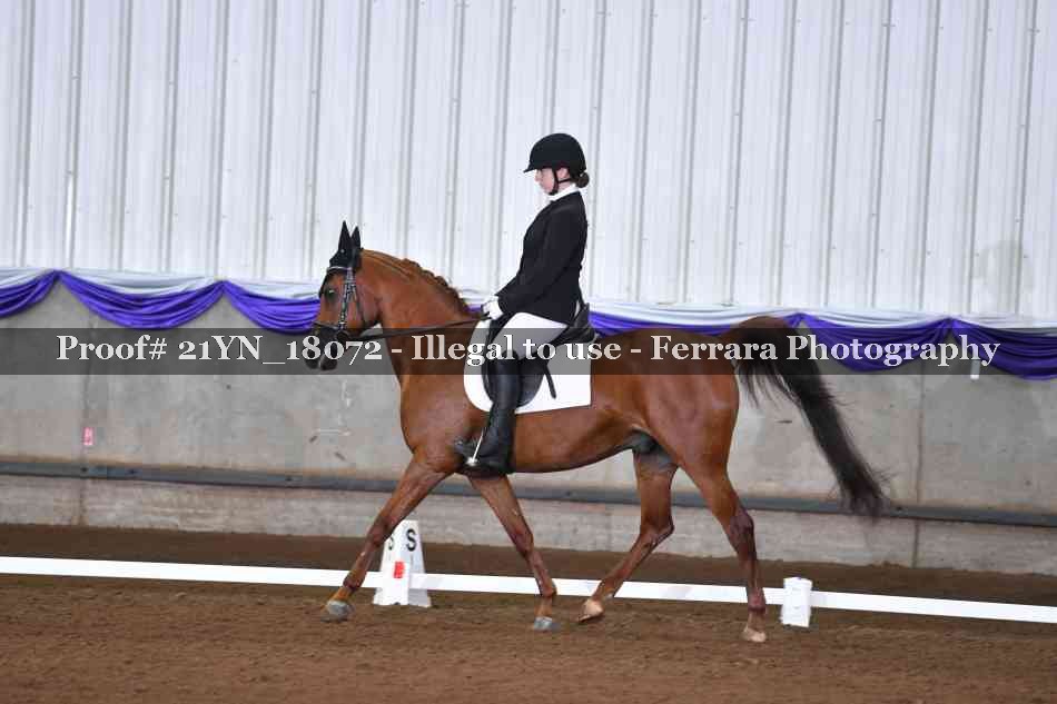 Proof Number 21YN_18072