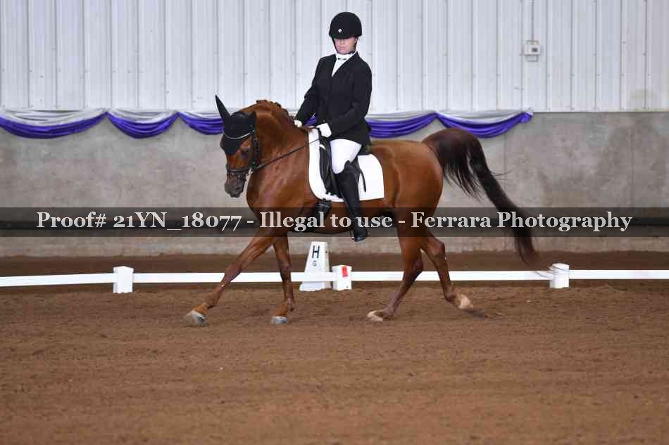Proof Number 21YN_18077