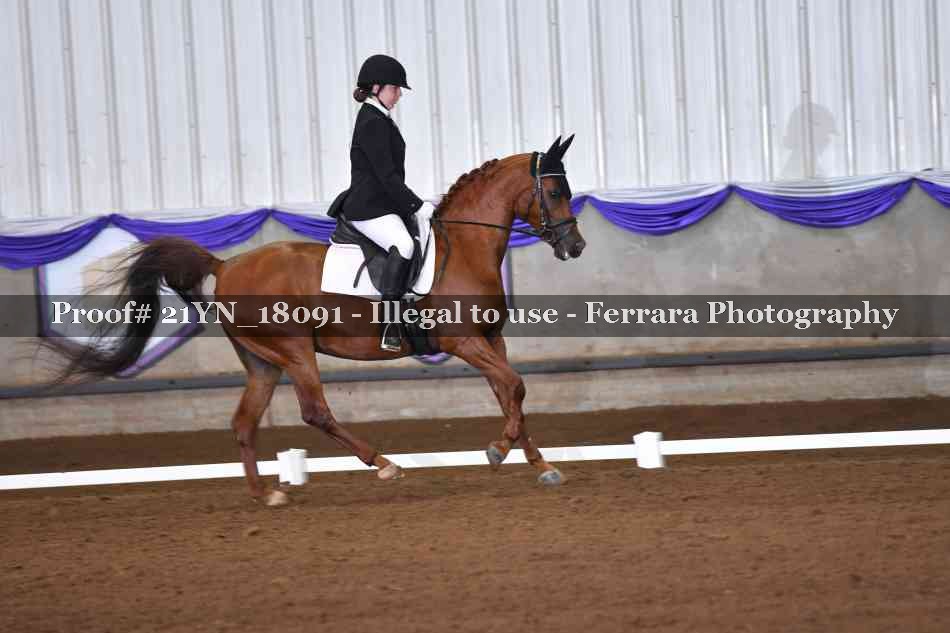 Proof Number 21YN_18091
