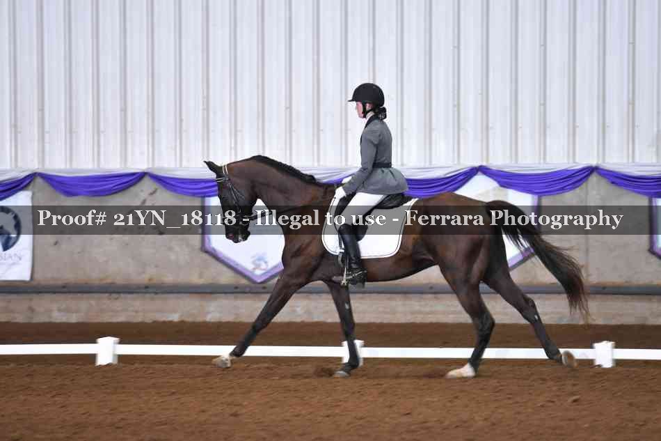 Proof Number 21YN_18118