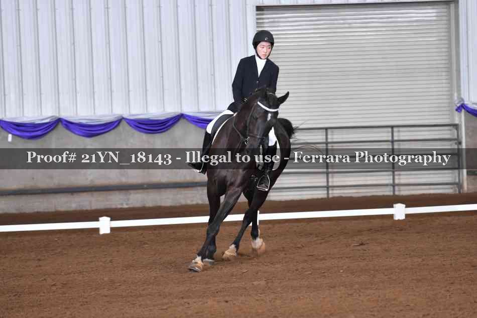 Proof Number 21YN_18143