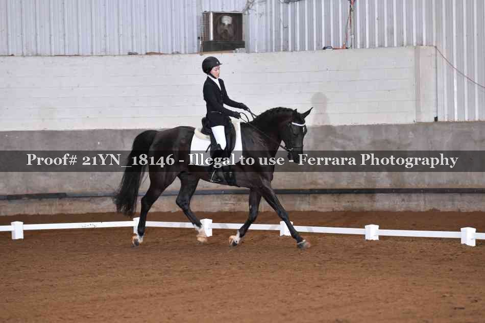 Proof Number 21YN_18146
