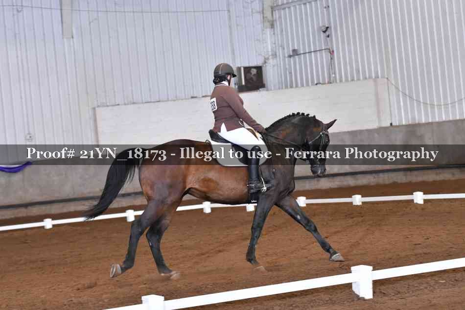 Proof Number 21YN_18173