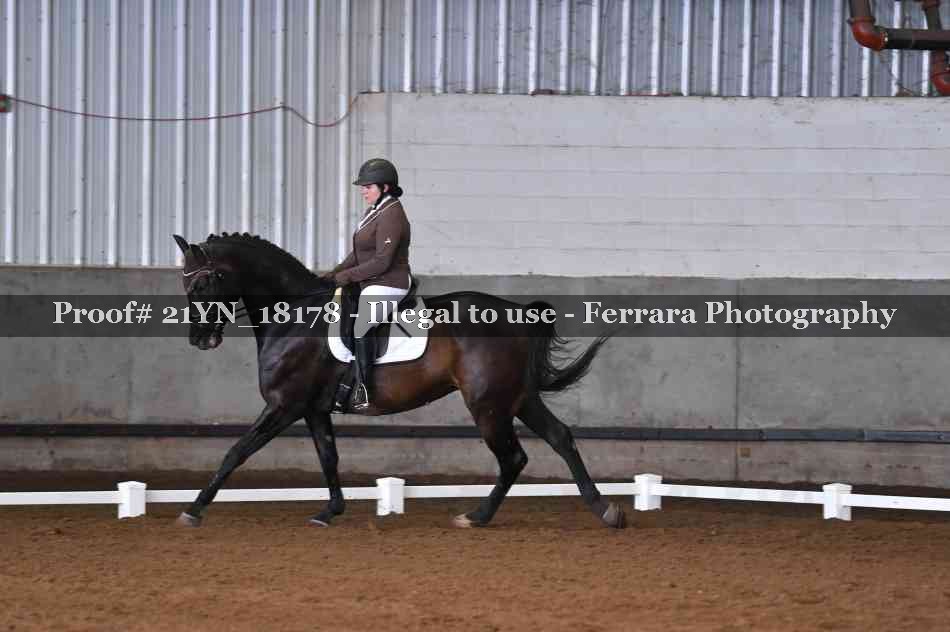 Proof Number 21YN_18178