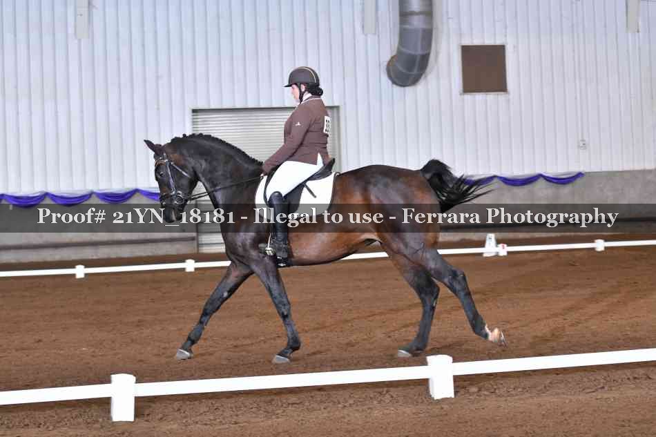 Proof Number 21YN_18181