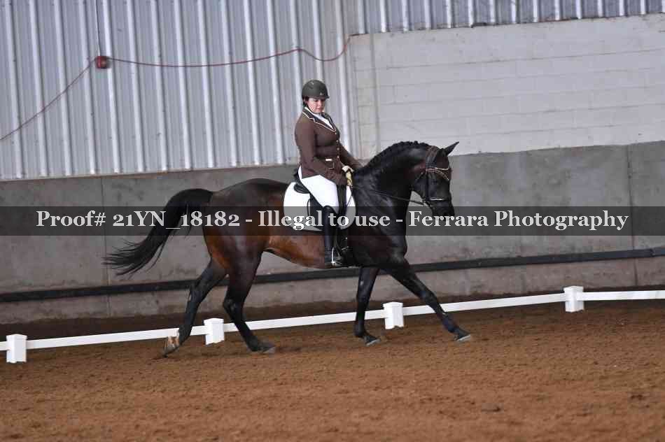Proof Number 21YN_18182