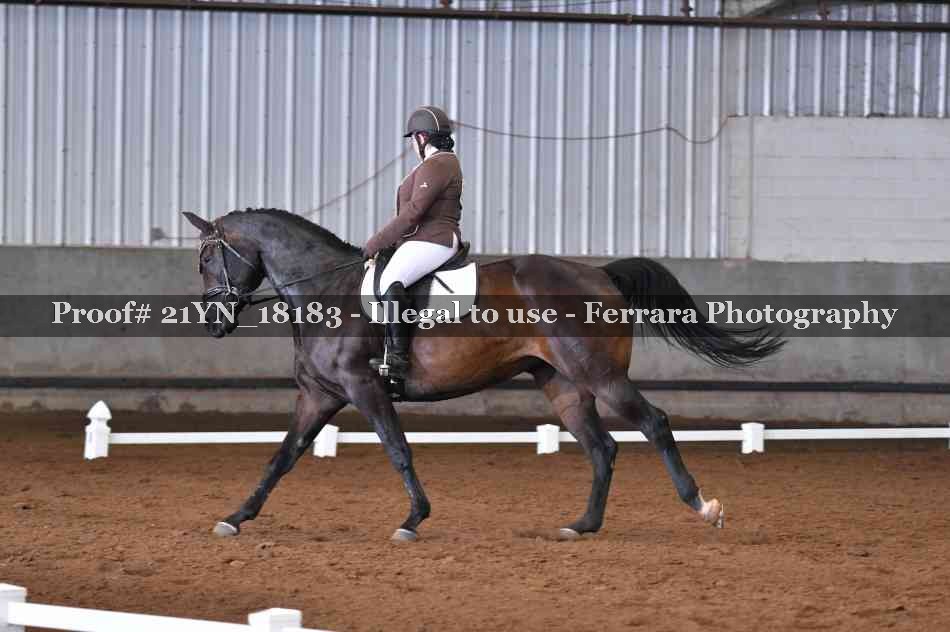 Proof Number 21YN_18183