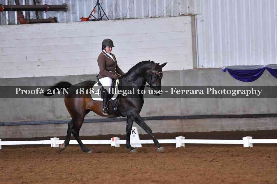 Proof Number 21YN_18184
