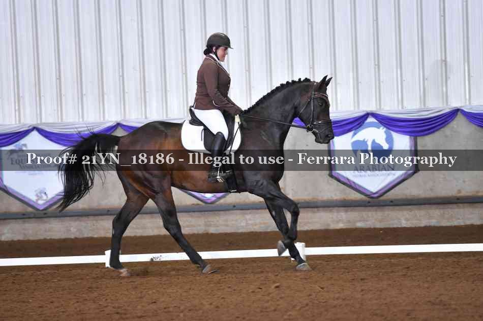 Proof Number 21YN_18186