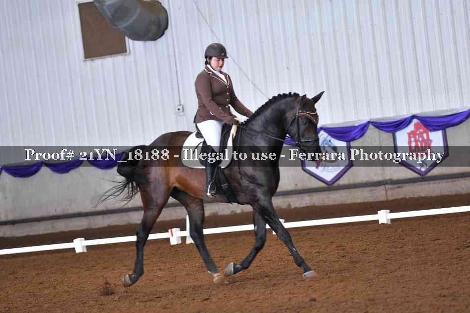 Proof Number 21YN_18188