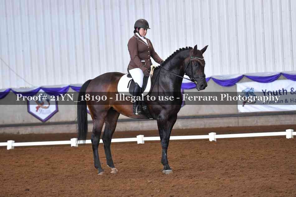 Proof Number 21YN_18190