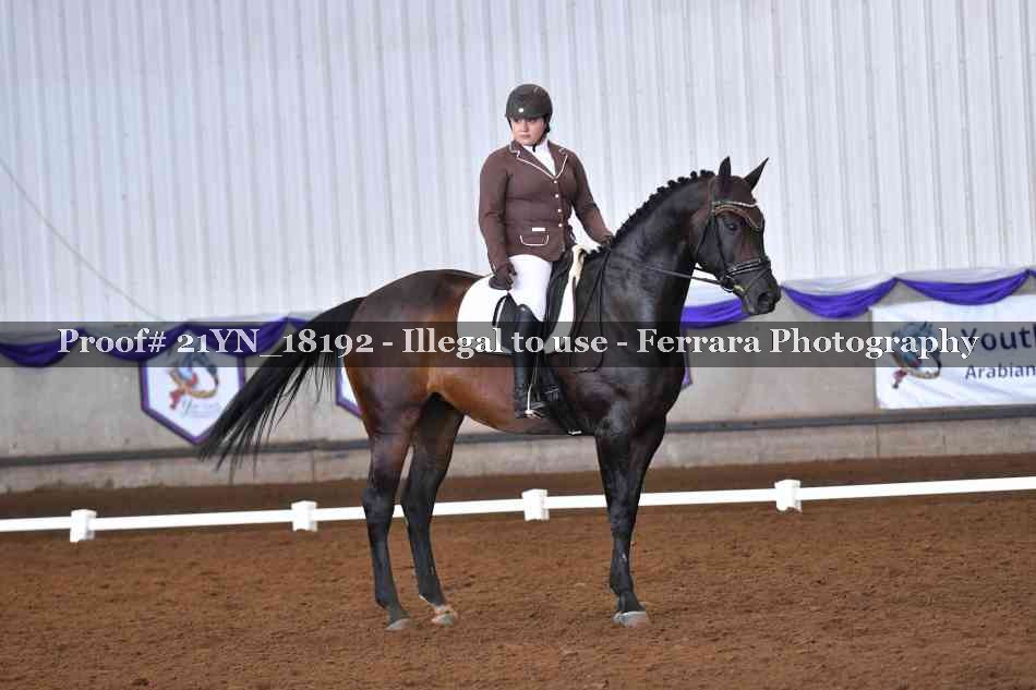 Proof Number 21YN_18192