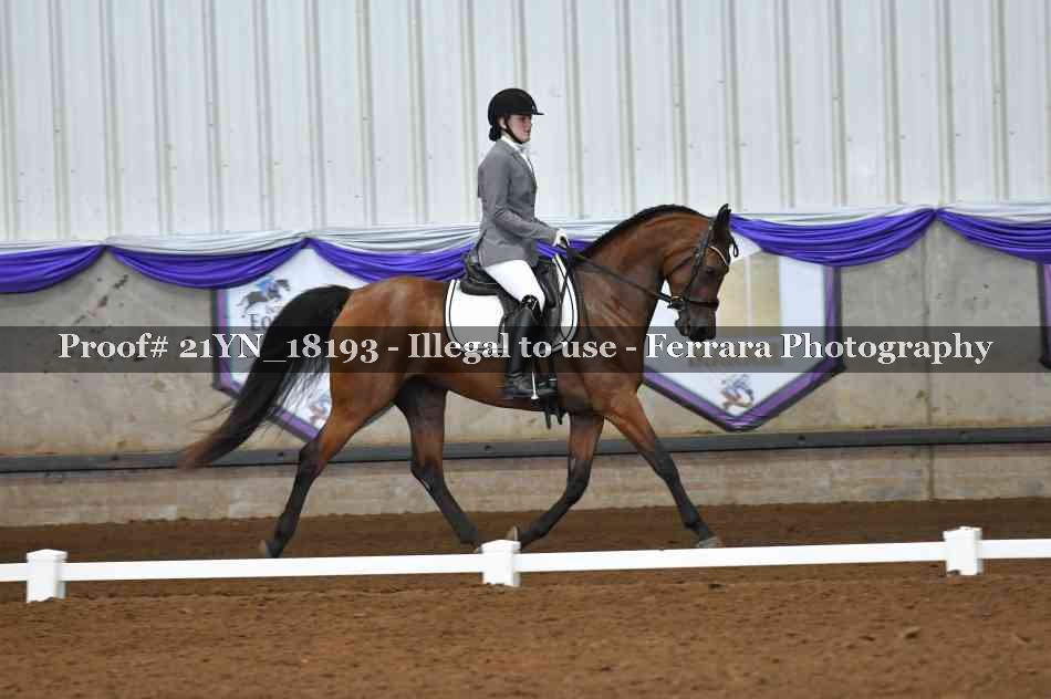 Proof Number 21YN_18193