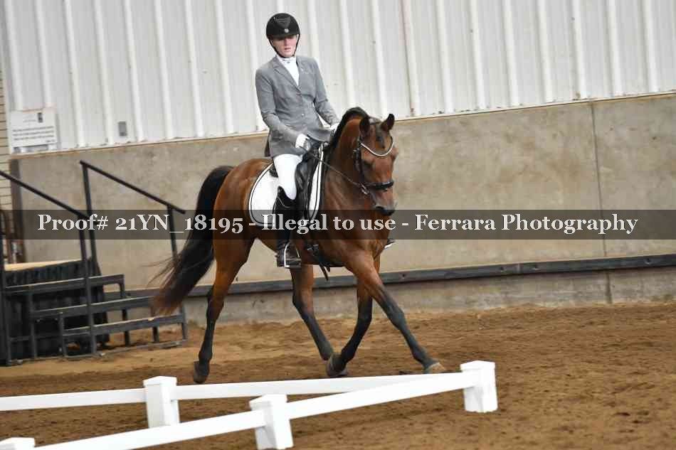 Proof Number 21YN_18195